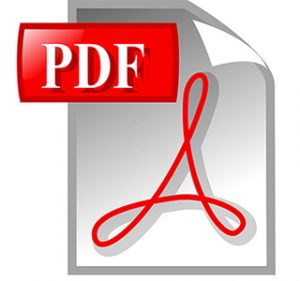 PDF icon